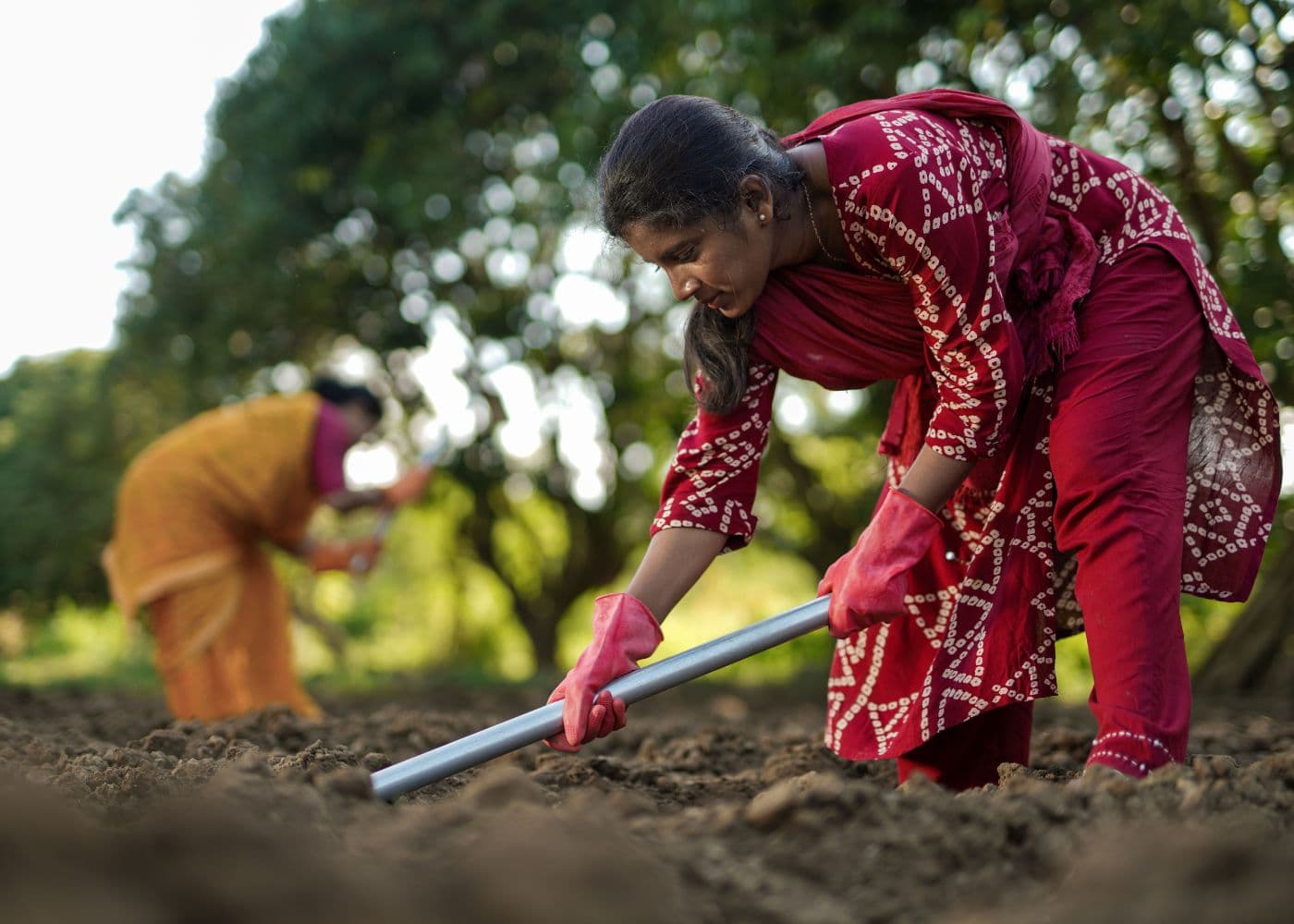 Transforming Smallholder Farming with Sustainable Farming